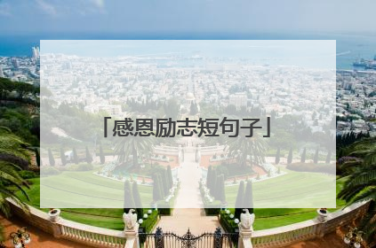 感恩励志短句子