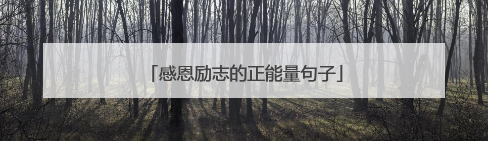 感恩励志的正能量句子