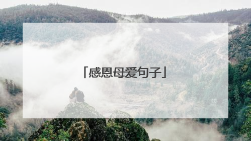 感恩母爱句子
