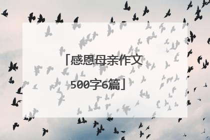 感恩母亲作文500字6篇