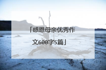 感恩母亲优秀作文600字5篇