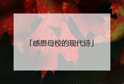 感恩母校的现代诗