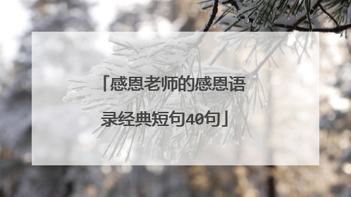 感恩老师的感恩语录经典短句40句