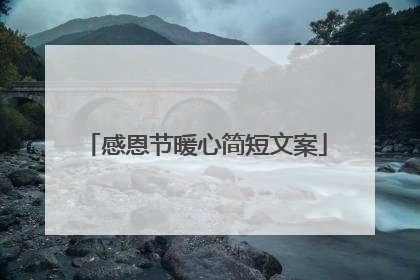 感恩节暖心简短文案