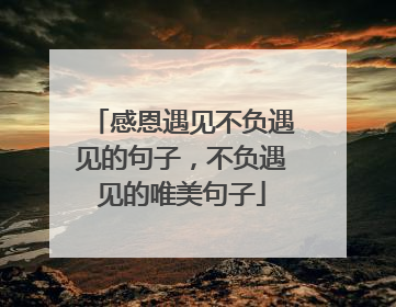 感恩遇见不负遇见的句子，不负遇见的唯美句子