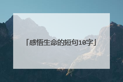 感悟生命的短句10字