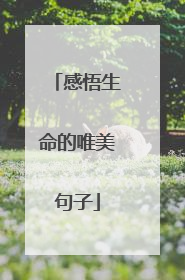 感悟生命的唯美句子