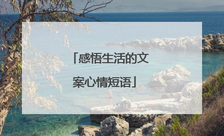 感悟生活的文案心情短语