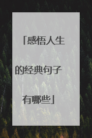 感悟人生的经典句子有哪些