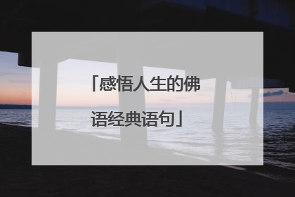 感悟人生的佛语经典语句