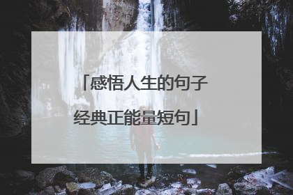 感悟人生的句子经典正能量短句