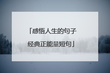 感悟人生的句子 经典正能量短句