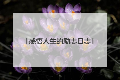 感悟人生的励志日志