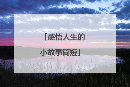 感悟人生的小故事简短