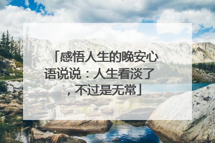 感悟人生的晚安心语说说:人生看淡了,不过是无常