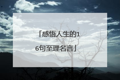 感悟人生的16句至理名言