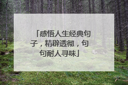 感悟人生经典句子,精辟透彻,句句耐人寻味