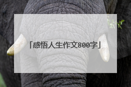 感悟人生作文800字