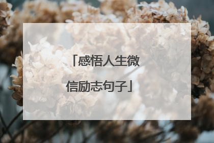 感悟人生微信励志句子