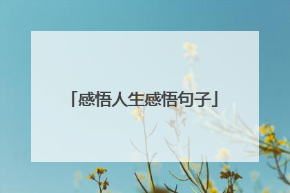 感悟人生感悟句子