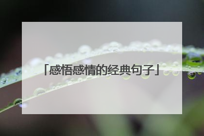 感悟感情的经典句子