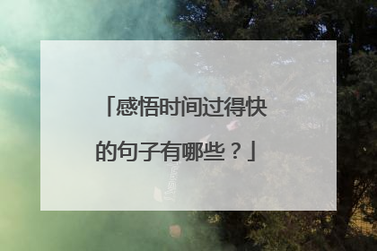 感悟时间过得快的句子有哪些？