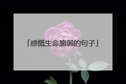 感慨生命脆弱的句子