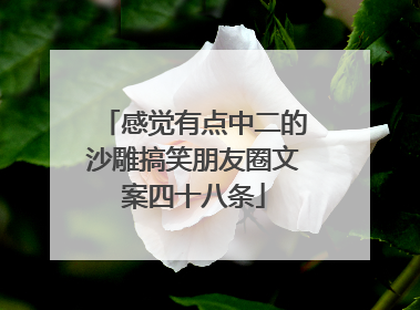 感觉有点中二的沙雕搞笑朋友圈文案四十八条