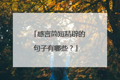 感言简短精辟的句子有哪些？