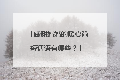 感谢妈妈的暖心简短话语有哪些？