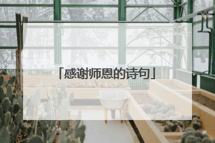 感谢师恩的诗句