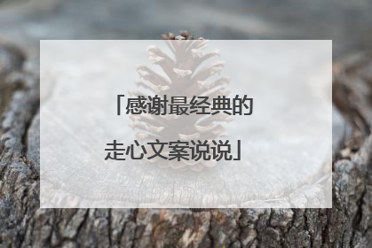 感谢最经典的走心文案说说