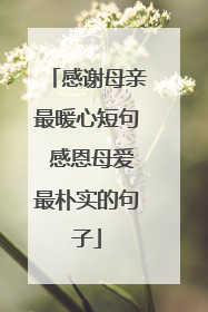 感谢母亲最暖心短句 感恩母爱最朴实的句子