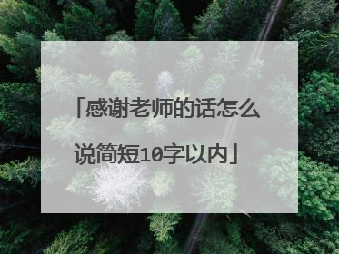 感谢老师的话怎么说简短10字以内