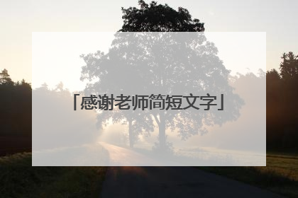 感谢老师简短文字
