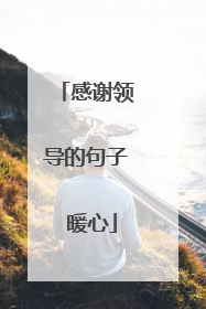 感谢领导的句子 暖心