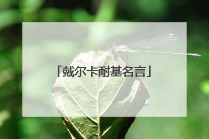 戴尔卡耐基名言