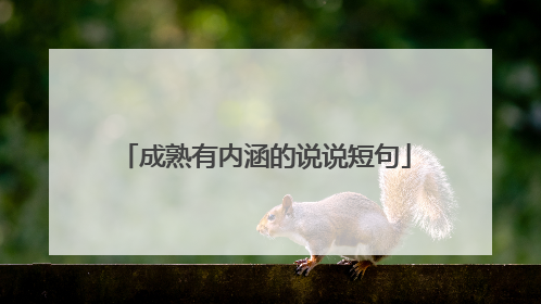 成熟有内涵的说说短句