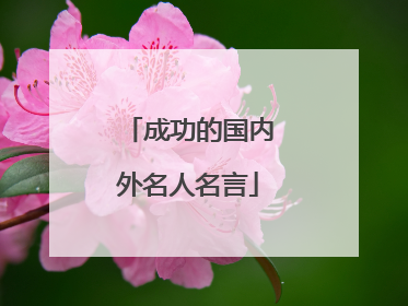 成功的国内外名人名言