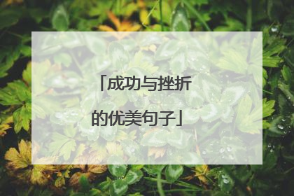 成功与挫折的优美句子