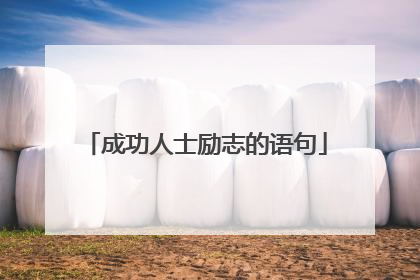 成功人士励志的语句