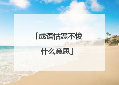 成语怙恶不悛 什么意思