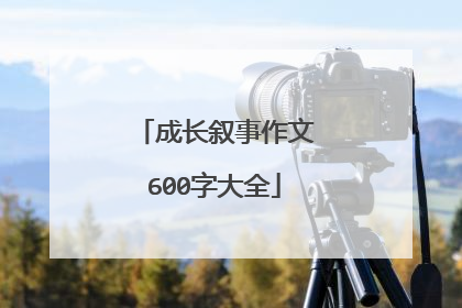 成长叙事作文600字大全