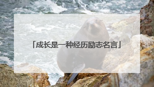 成长是一种经历励志名言