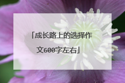 成长路上的选择作文600字左右