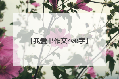 我爱书作文400字