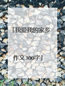 我爱我的家乡作文300字