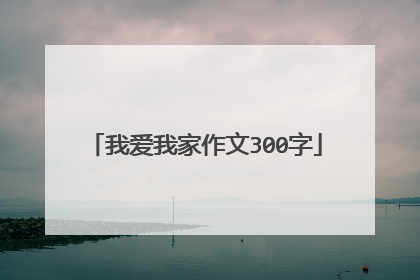 我爱我家作文300字