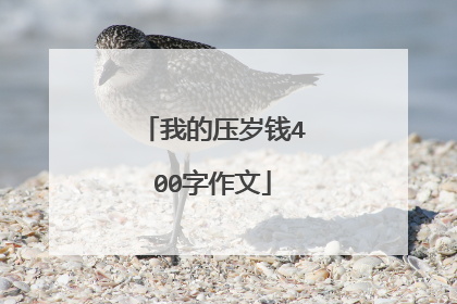 我的压岁钱400字作文