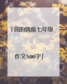 我的偶像七年级作文500字